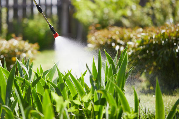 24/7 Emergency Pest Control experts in Shell Valley, ND