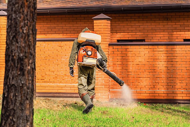 Top rated local Pest Control specialists in Shell Valley, ND